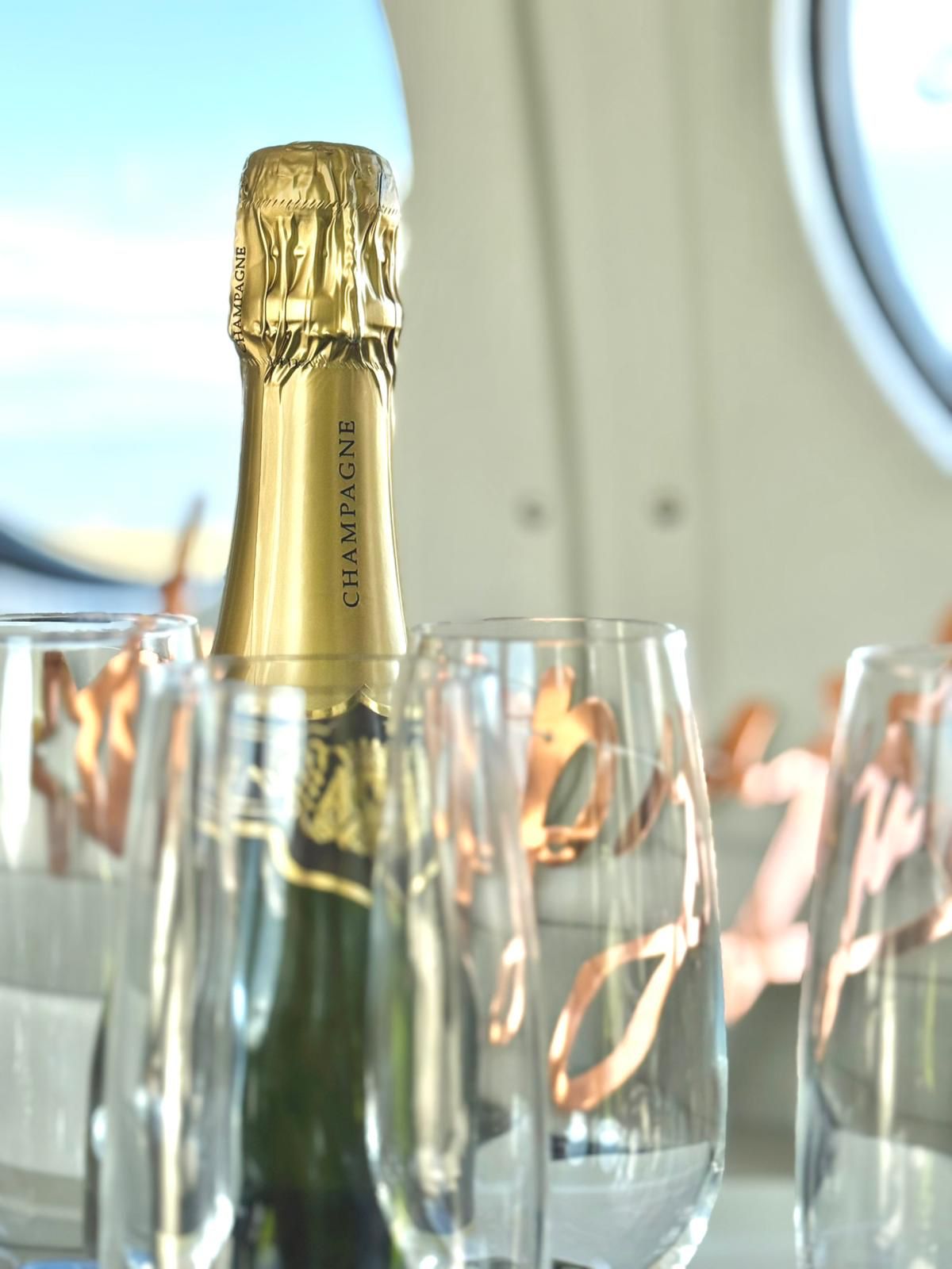 день рождения в небе на частном самолете